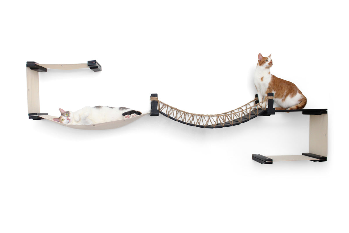 Multi-cat tower setup with cats lounging on different platforms