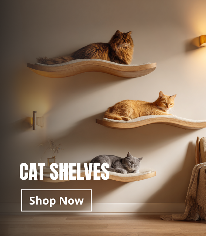 Cat Shelves