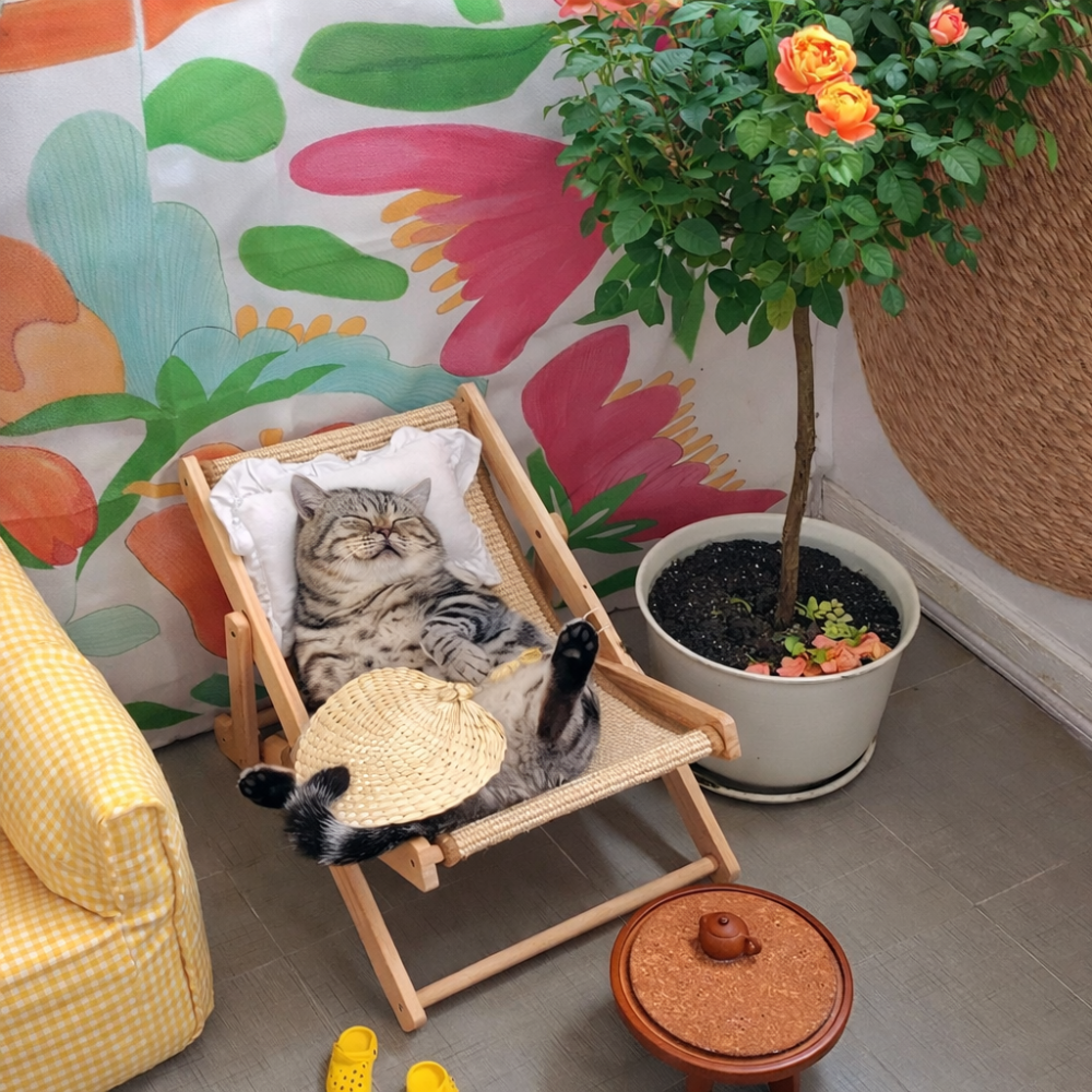 Premium Wooden Bed for Dogs & Cats Under 10kg