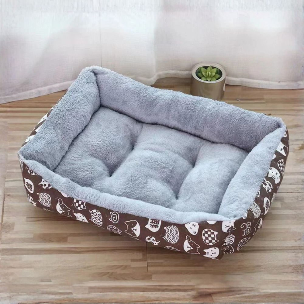 Free Cushion Main image