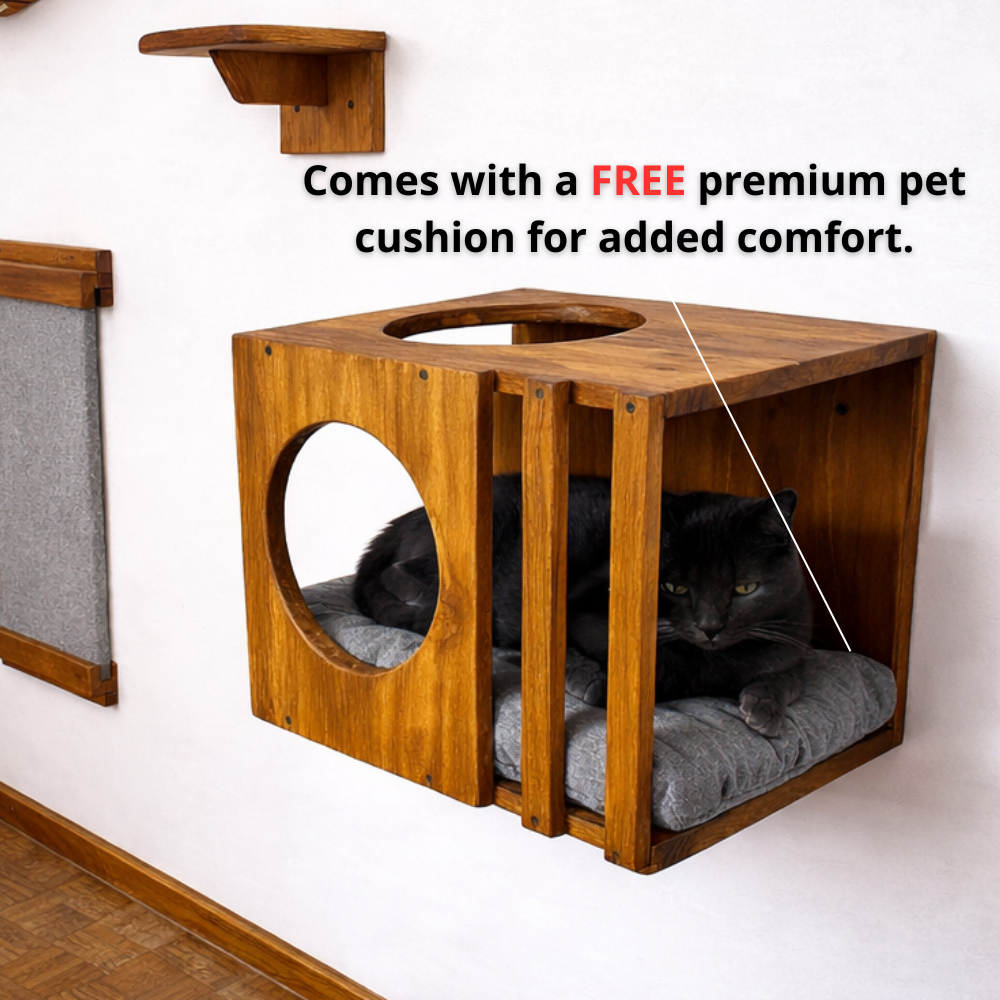Wall Mounted Cat Playground Set, Solid Wood Cat Shelves, Cat House & Scratcher Main image