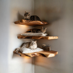 Cat Corner Floating Shelf, Wood Wall Mounted Cat Shelf Decor