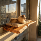 Cat Perch Wall Mouted, Wood Cat Shelf Pet Furniture