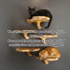 Wooden Mushroom Cat Shelf, Wall Mounted Cat Perch & Climbing Furniture