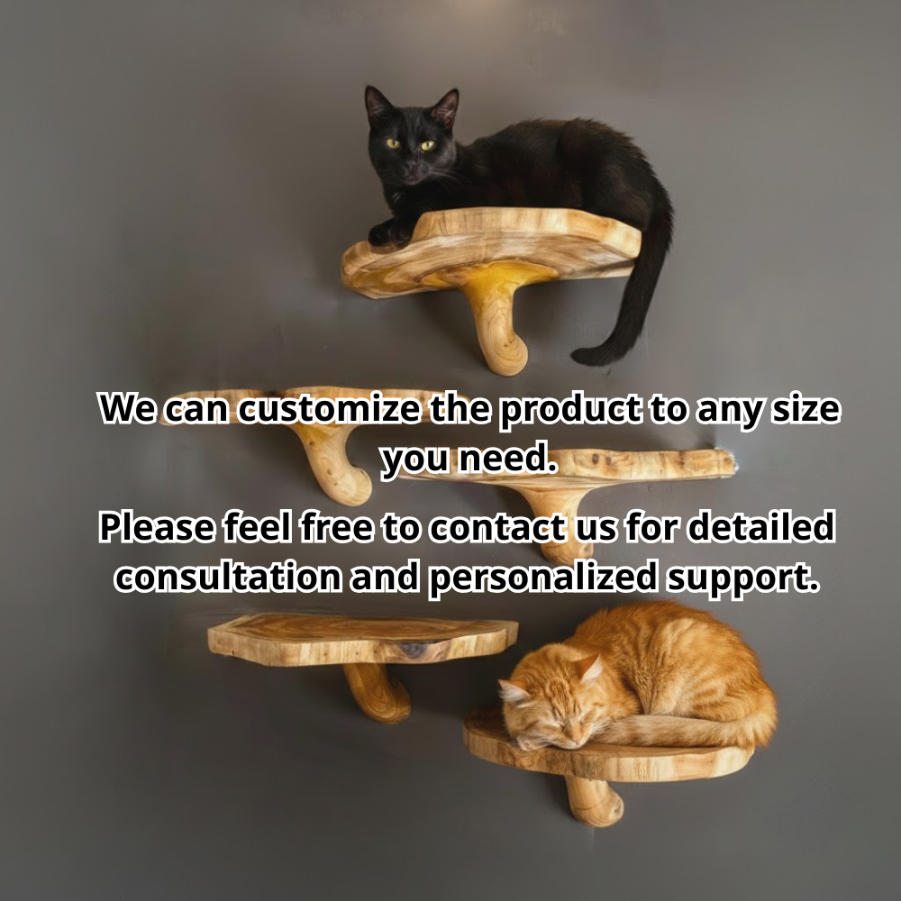 Wooden Mushroom Cat Shelf, Wall Mounted Cat Perch & Climbing Furniture
