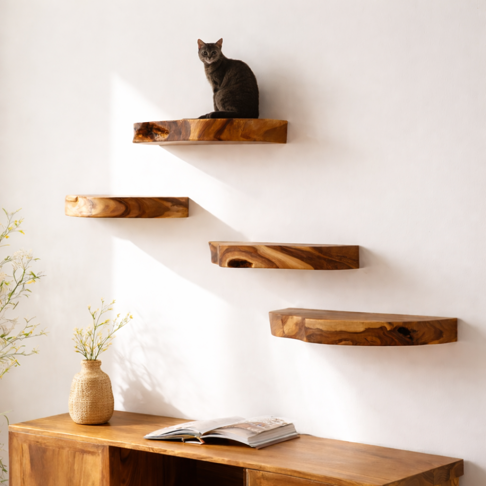 Floating Cat Shelf, Luxury Solid Wood Cat Wall Furniture Main image