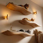 Natural Wood Cat Shelf, Indoor Cat Furniture for Home Decor