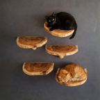 Wooden Mushroom Cat Shelf, Wall Mounted Cat Perch & Climbing Furniture