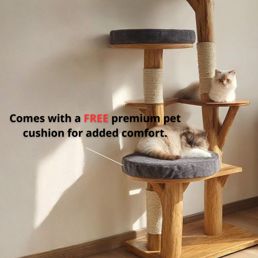 Solid Wood Cat Tower, Designer Cat Tree Furniture for Modern Homes