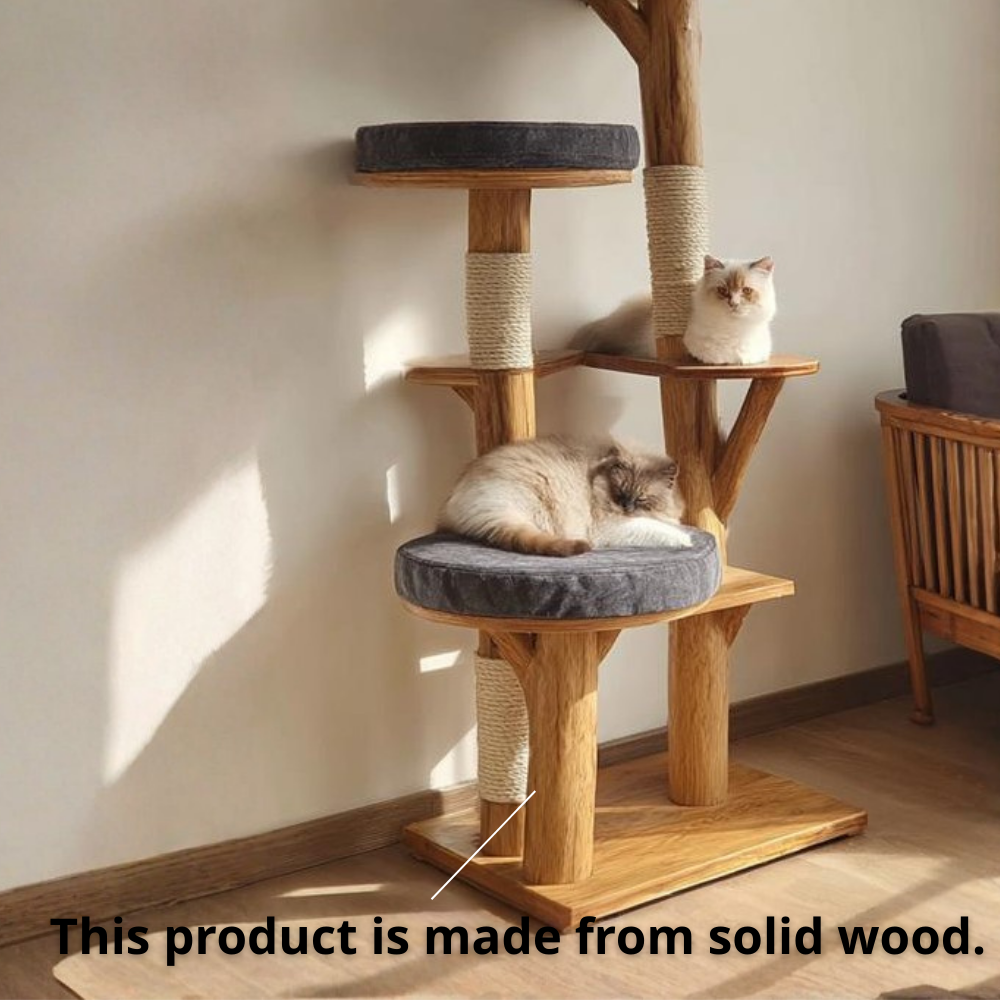 Solid Wood Cat Tower, Designer Cat Tree Furniture for Modern Homes
