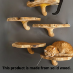 Wooden Mushroom Cat Shelf, Wall Mounted Cat Perch & Climbing Furniture