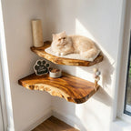 Live Edge Cat Wall Shelf, Natural Wood Cat Furniture for Modern Home Decor
