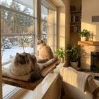 Live Edge Cat Perch, Handmade Natural Wood Cat Furniture, Rustic Cat Wall Bed