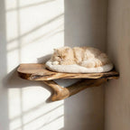 Solid Wood Cat Wall Shelf, Natural Cat Furniture for Home Decor