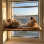 Live Edge Cat Perch, Handmade Natural Wood Cat Furniture, Rustic Cat Wall Bed