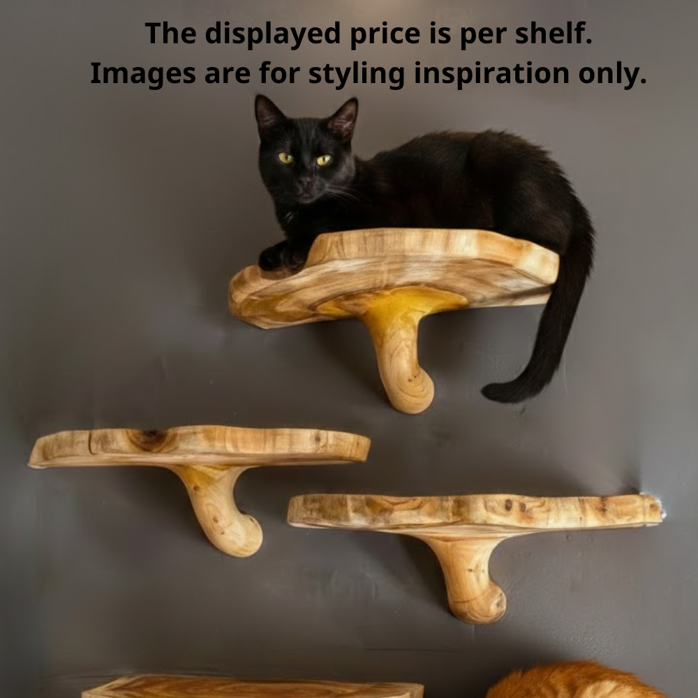 Wooden Mushroom Cat Shelf, Wall Mounted Cat Perch & Climbing Furniture