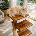 Cat Tree Tower, Modern Cat Furniture, Natural Wood Cat Tower