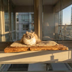 Cat Perch Wall Mouted, Wood Cat Shelf Pet Furniture