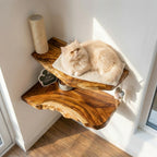 Live Edge Cat Wall Shelf, Natural Wood Cat Furniture for Modern Home Decor